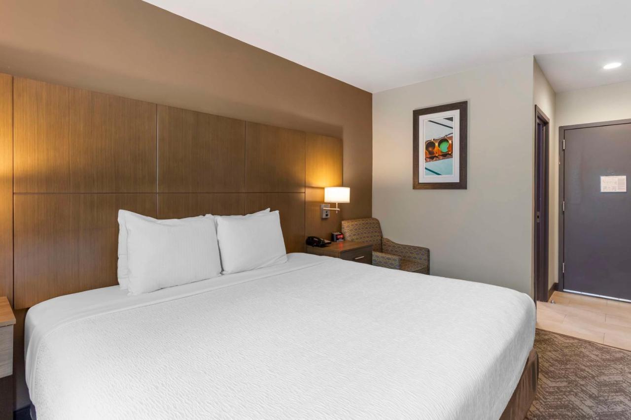 Chambre Lit King-Size avec Douche Accessible en Fauteuil Roulant - Personnes à Mobilité Réduite/Non-Fumeurs