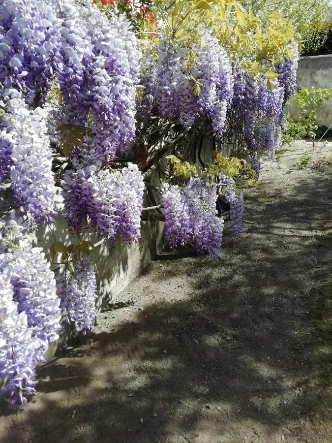 Double Room Garden View,1469473850:JPEG