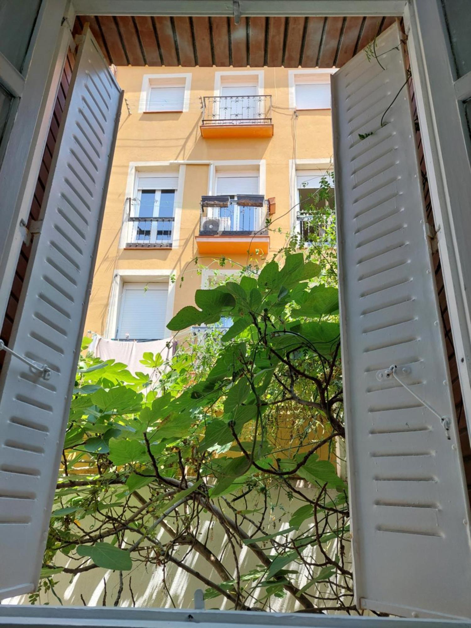 Chambre Double avec Salle de Bains Commune
