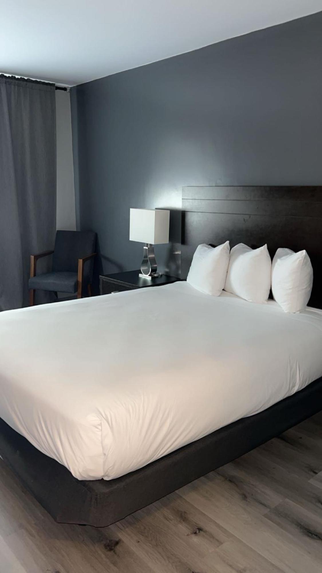 Standard Room 1 Queen Bed,1586838061:JPEG