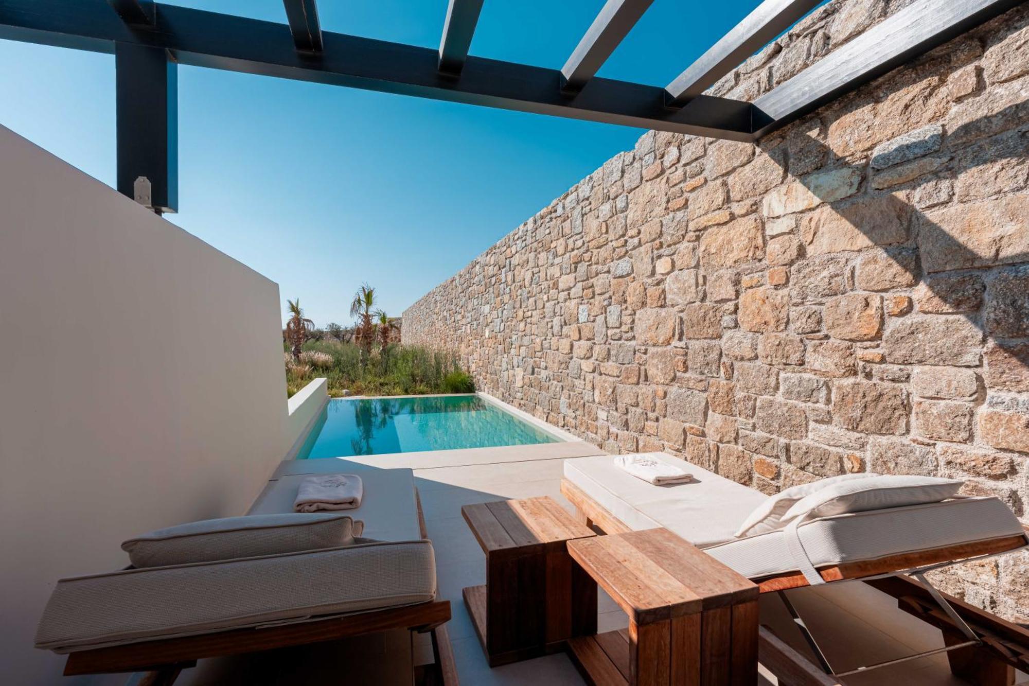 Suite Exécutive avec Piscine Privée - Vue sur Jardin
