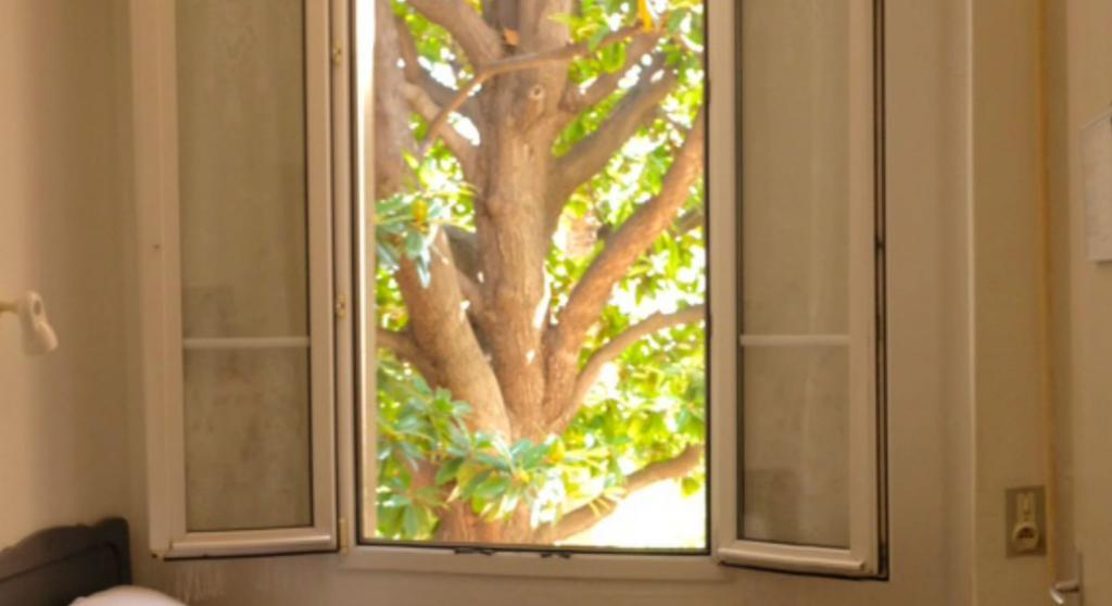 Comfort Double Room,698323248:JPEG