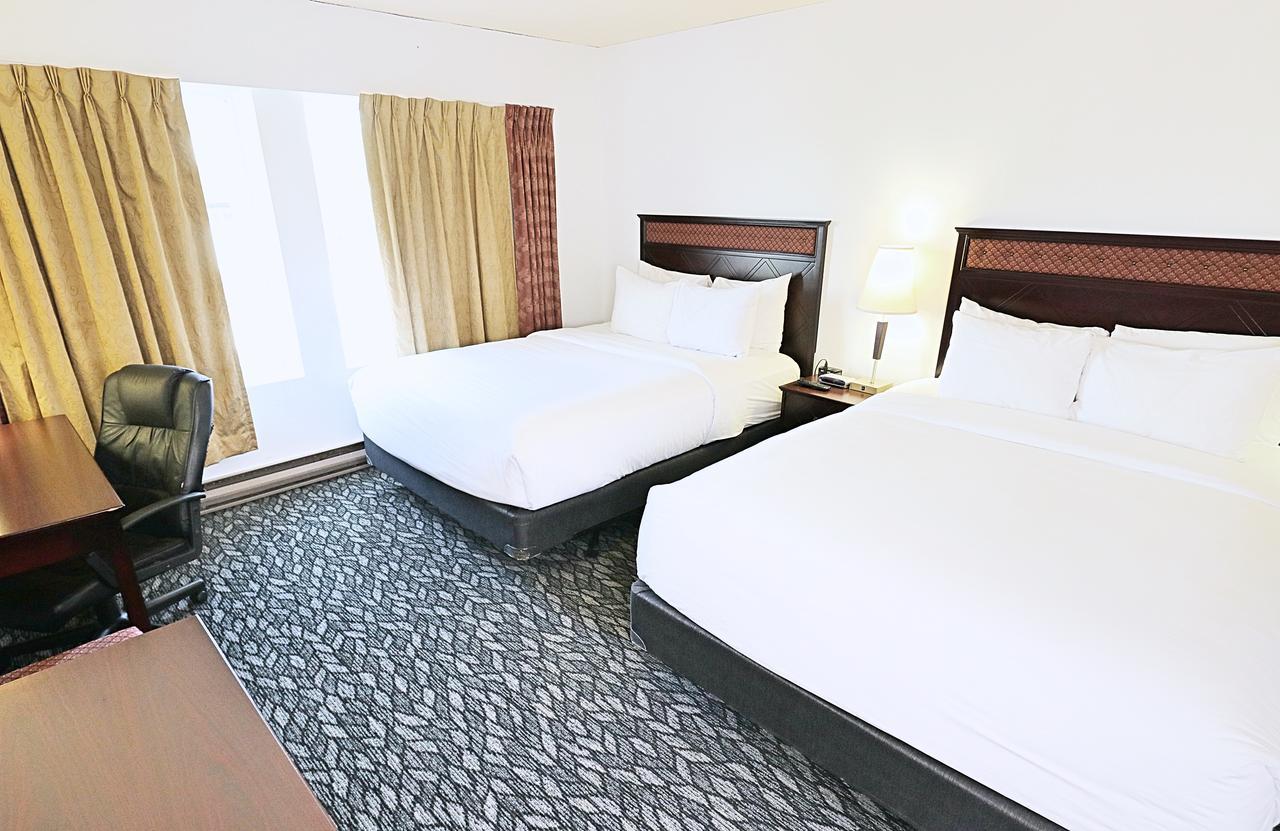 Double Room with Two Double Beds,665681079:JPEG