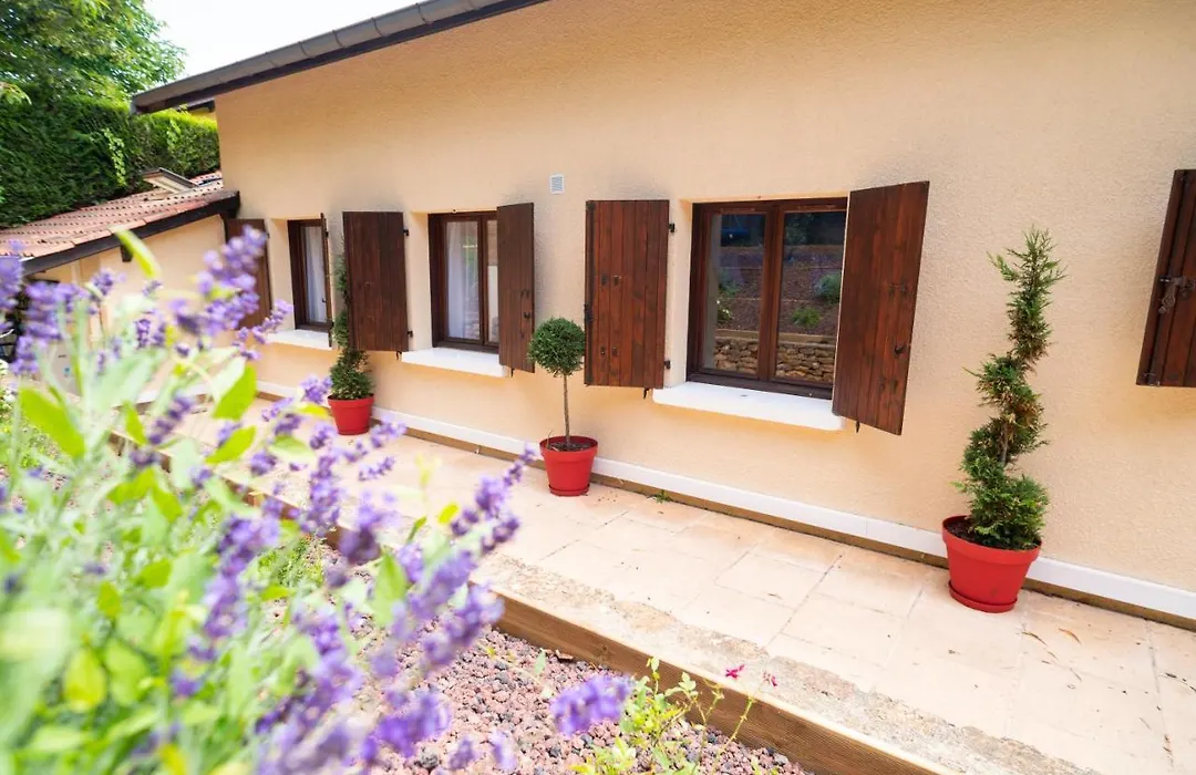 Lyon Mon Amour B&B-1