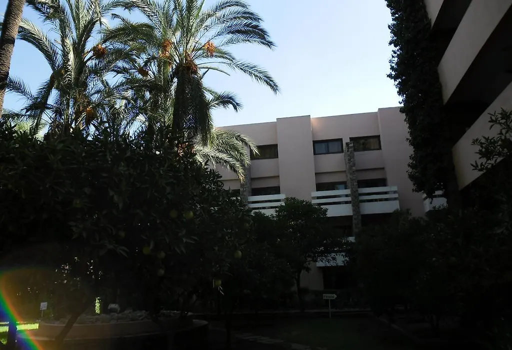 Hotel Amine-1