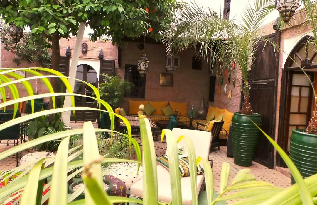 Riad Ayada-1