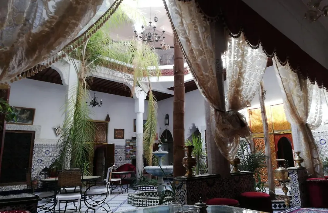 Riad Chennaoui-1