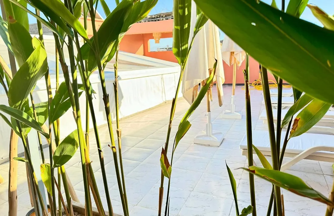 Riad Arrahma-1