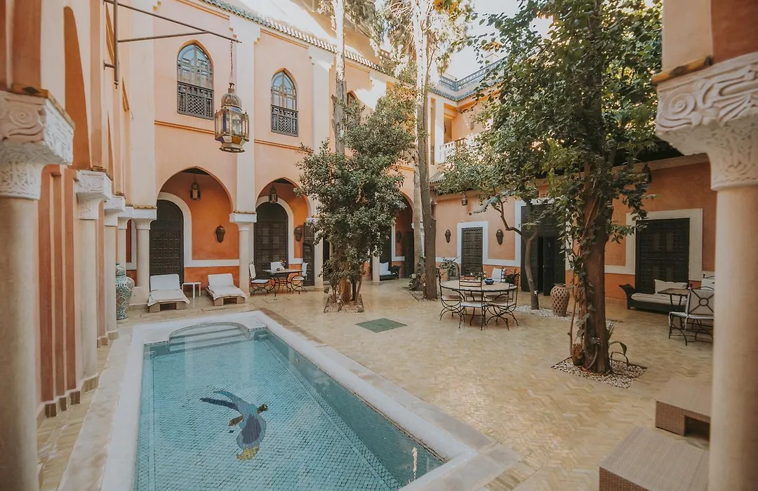 Riad Le Perroquet Bleu Suites&Spa-1