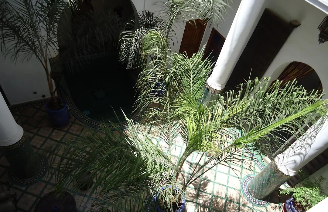 Riad Tahar Oasis-1
