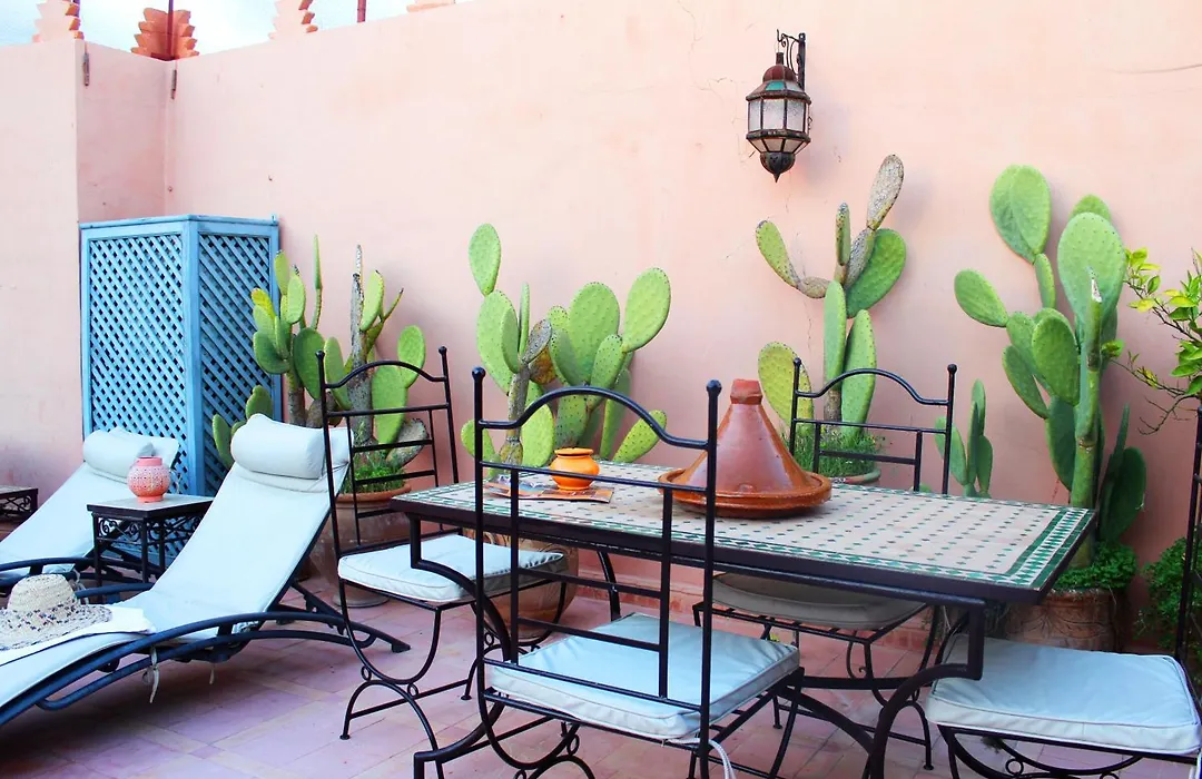 Riad Alida-1