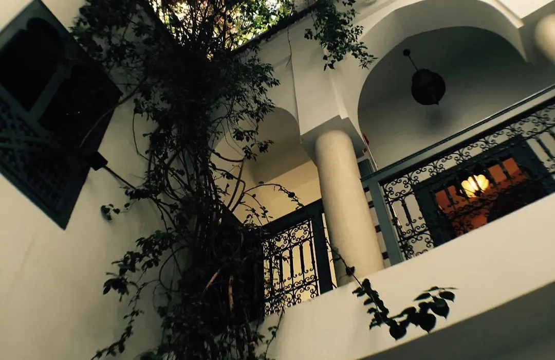 Riad Of The Light-1