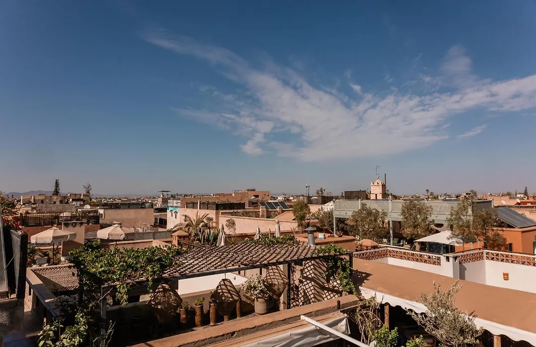 Riad White Flowers-1