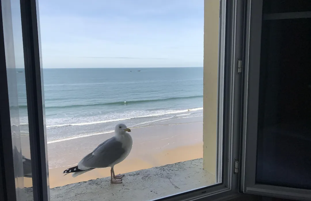 Hotel Kyriad Saint Malo Centre Plage-1
