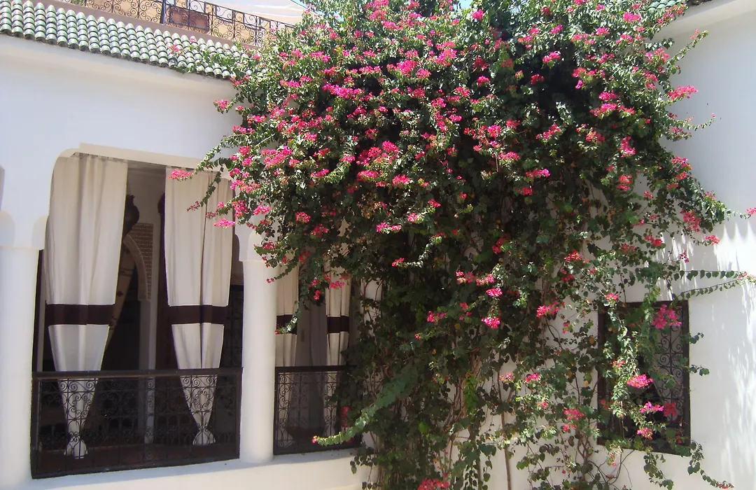 Riad Noor Charana-1