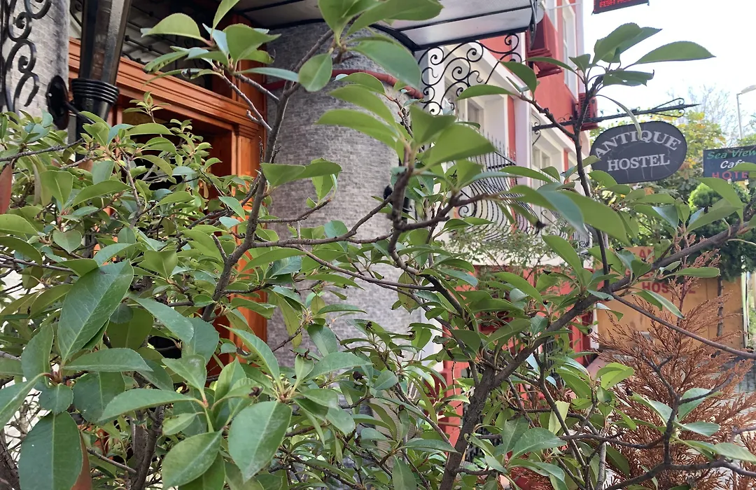 Antique Hostel-1