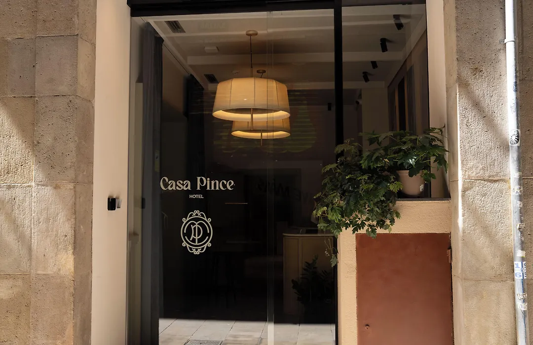 Casa Pince-1