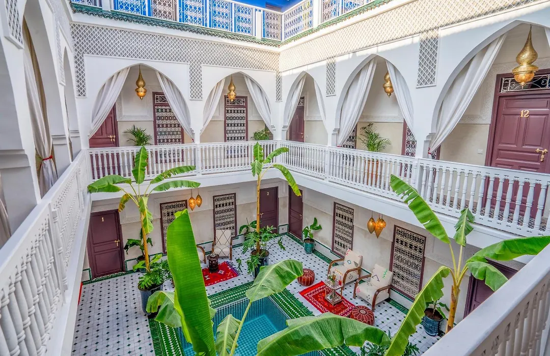 Riad les palmiers de la medina-1