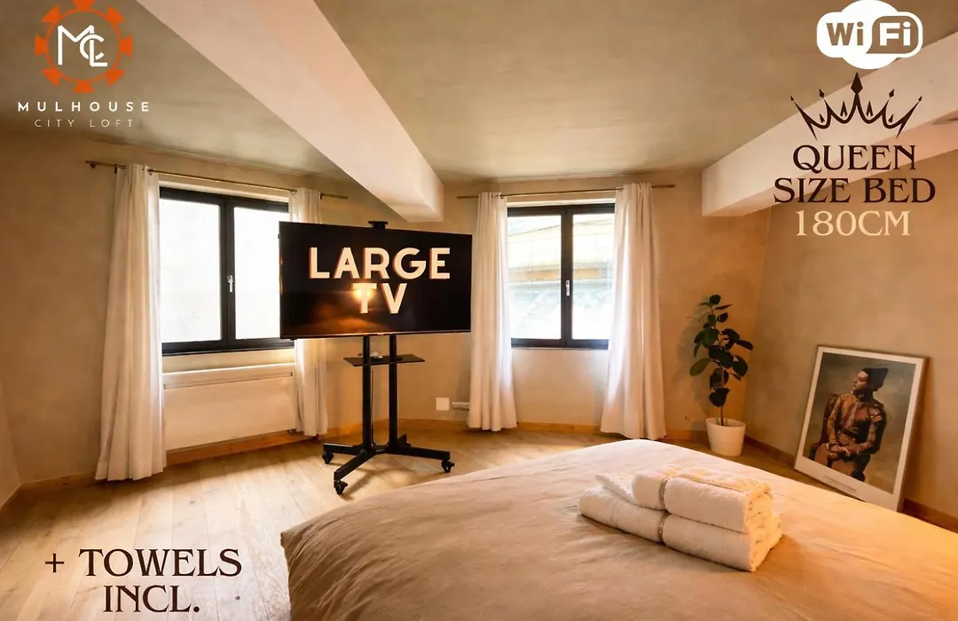Mulhouse City Loft-1