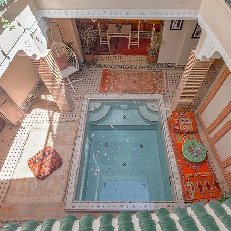 Riad Salman-2