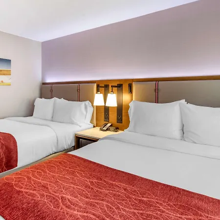 Comfort Inn Jfk Airport-2