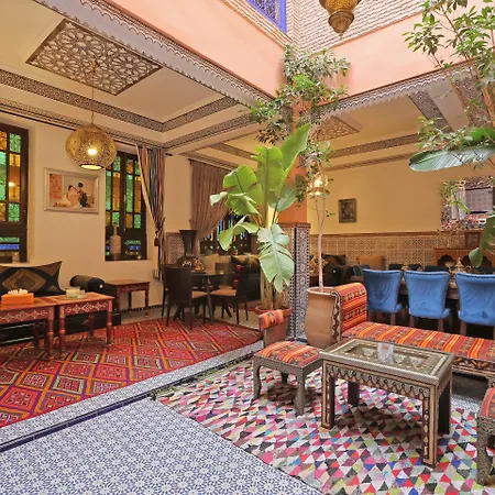 Riad Blue Eyes-2