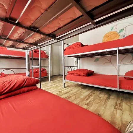 Lola Backpacker'S Hostel-3