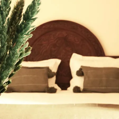 Riad Sassa Finda-3