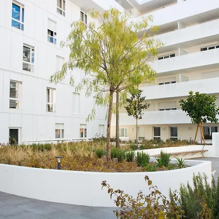 Twenty Business Flats Nice Angely-2
