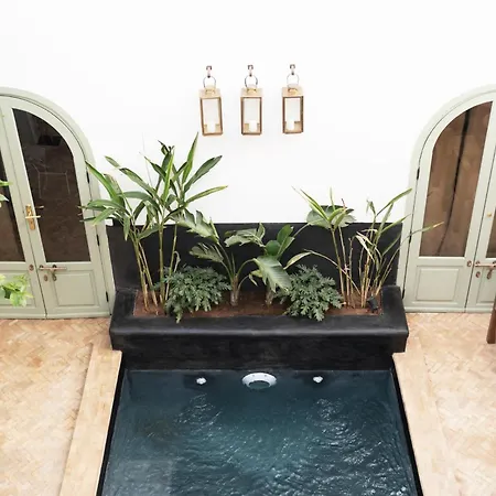 Riad Al Uzza-2