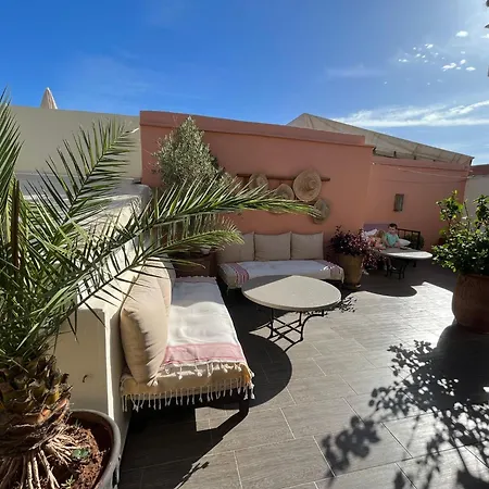 Riad Safina-3
