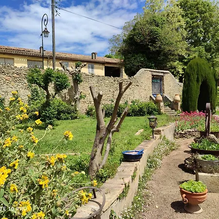 Château Saint-Martin-3