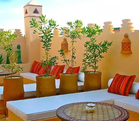 Riad Rabahsadia-3