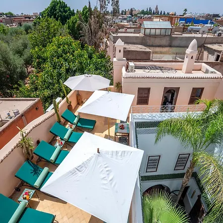 Riad Yalla Habibi-3
