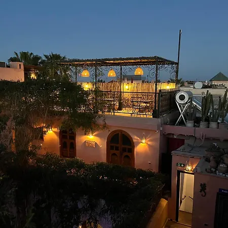 Riad Chameleon-2