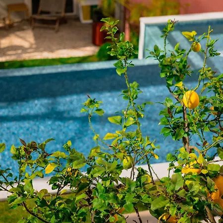 Jardim Da Lapa By Shiadu-2