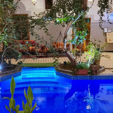 Riad Raffaa-2