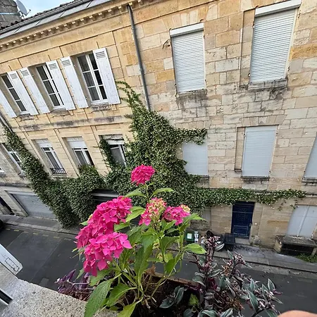 TANG Home-Bordeaux Hyper Centre-3