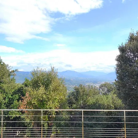 Apartment 3 Rooms With Garden In Ajaccio-2