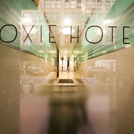 Doxie Hotel-3