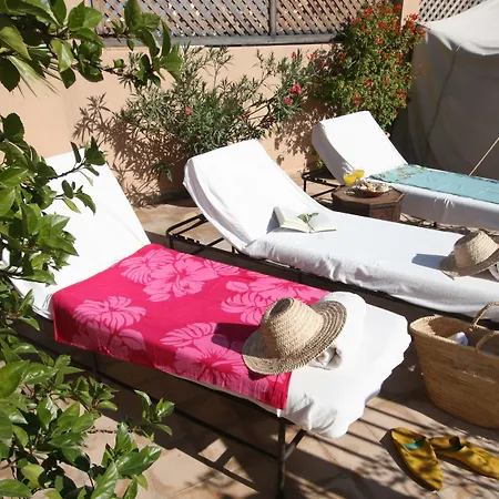 Riad Elixir-3