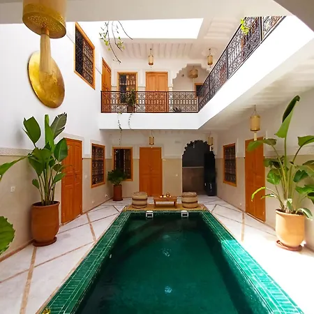 Riad Dabakech-2