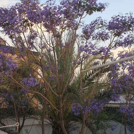 Riad El Walida-3