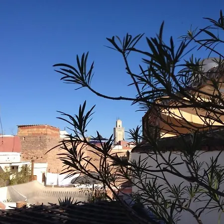 Riad le Coq Fou-2