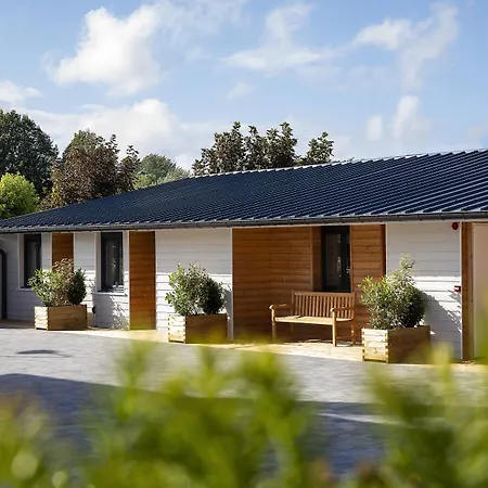Cocoon Inn-3