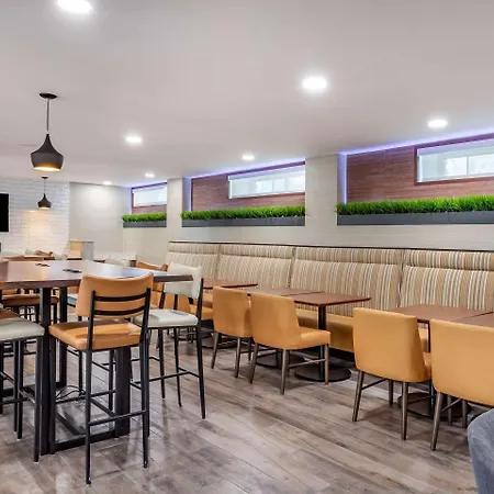 Comfort Inn Jfk Airport-2