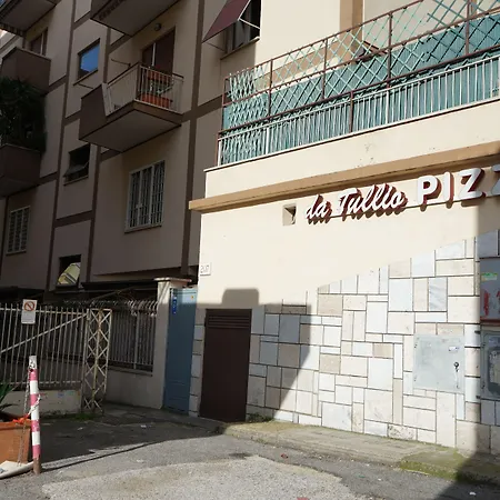 Mikasa Balduina Roma-3