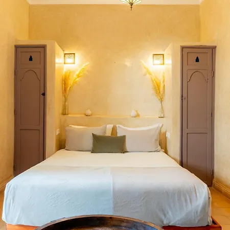 Riad Beldi-2