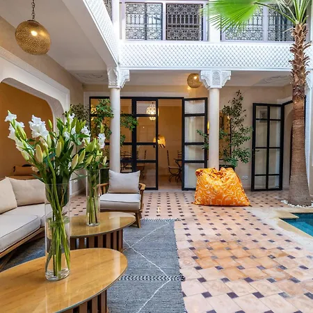 Riad Beldi-3