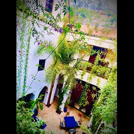 Riad Le Dromadaire Bleu By Weekome-3